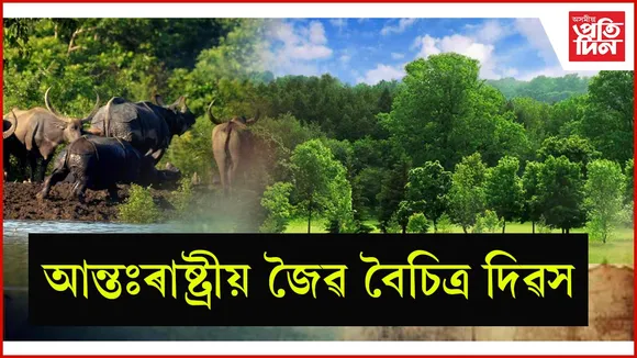 আজি আন্তঃৰাষ্ট্ৰীয় জৈৱ বৈচিত্ৰ দিৱস...