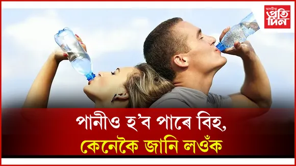 seo web পানী