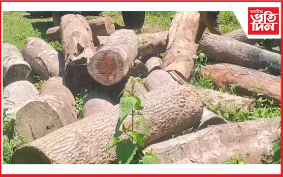 কাৰ আশীৰ্বাদত পৰ্বতঝোৰাত চলিছে বনধ্বংস যজ্ঞ?