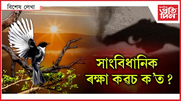 সাংবিধানিক ৰক্ষা কৱচ ক'ত?