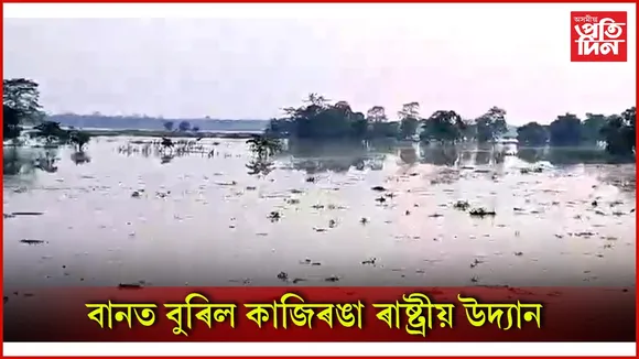 বানত বুৰিল কাজিৰঙা ৰাষ্ট্ৰীয় উদ্যান