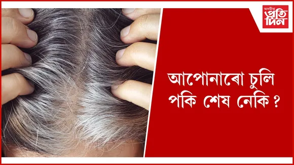 চুলি ..