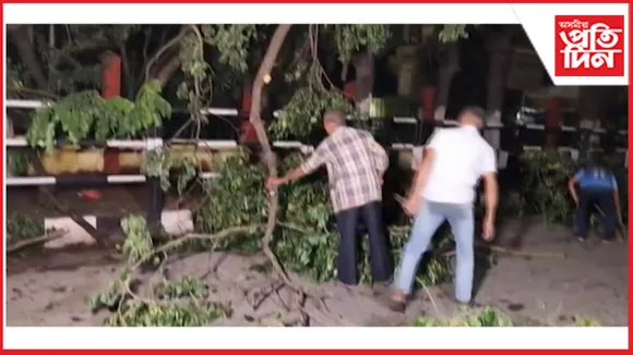 ৰবীন্দ্ৰ ভৱনৰ সন্মুখৰ পৰা দীঘলীপুখুৰীৰ পাৰলৈ প্ৰশাসনে কাটিলে গছ