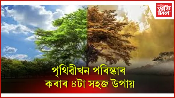 পৰিস্কাৰ  seo
