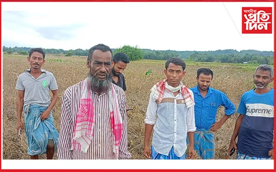 বানত নষ্ট শ শ বিঘা ৰবিশস্য, কৃষকৰ হাহাকাৰ