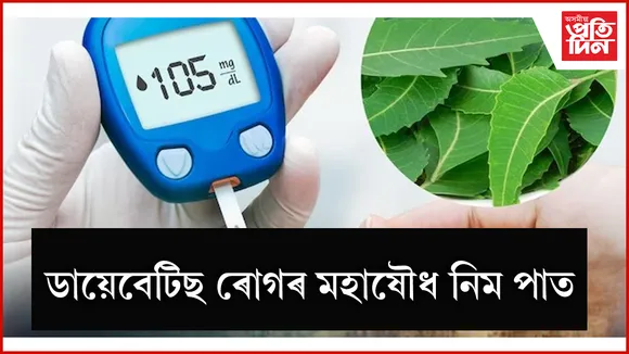 ডায়েবেটিছ seo