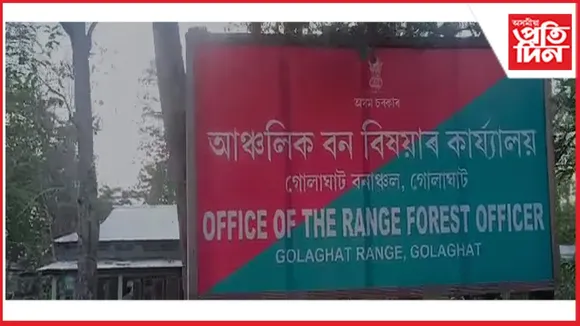 ডাম্পিং গ্ৰাউণ্ডৰ পৰা অসুস্থ অৱস্থাত উদ্ধাৰ এটা দুষ্প্ৰাপ্য শগুণ 