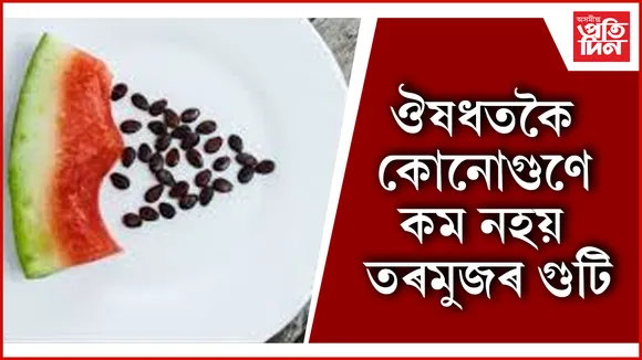 তৰমুজ seo