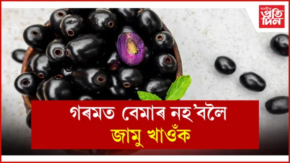 web ap jamun