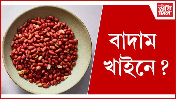 বাদাম seo