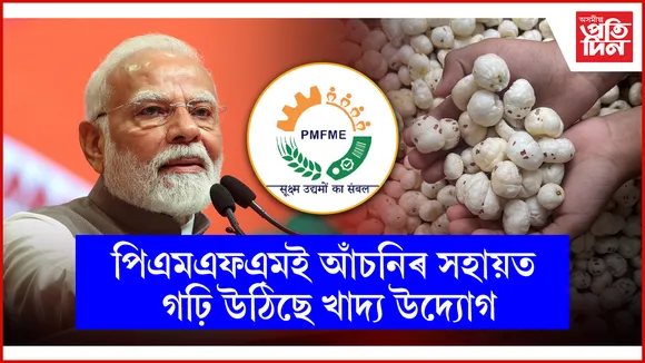 web ap MAKHANA