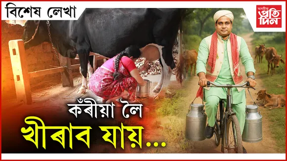 ap BIKHEKH LEKHA malla
