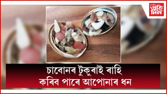 চাবোন seo