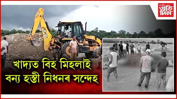 তিনিদিনৰ ব্যৱধানত দুটাকৈ বনৰীয়া হাতীৰ মৃত্যুঃ খাদ্যত বিহ মিহলাই দিয়াৰ সন্দেহ