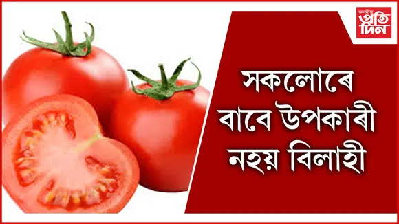 বিলাহী seo