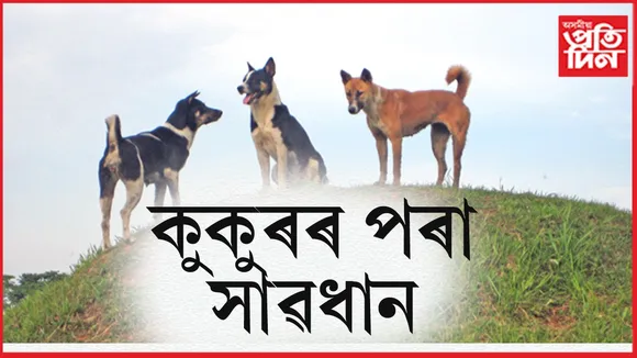 kukur