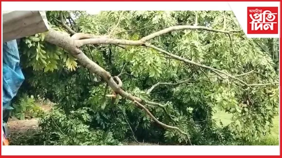 প্ৰচণ্ড ধুমুহাত জামুগুৰিৰ উত্তৰাঞ্চলত বিস্তৰ ক্ষতিঃ ব্যাহত বিদ্যুৎ সেৱা...