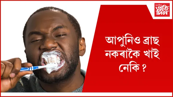 ব্ৰাছ seo
