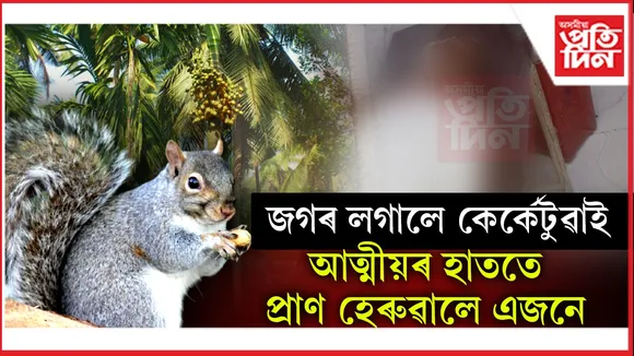কেৰ্কেটুৱাই খালে তামোলঃ সম্বন্ধীয় দুই ভাতৃৰ মাজত লাগিল কাজিয়া, এজনে হেৰুৱালে প্ৰাণ