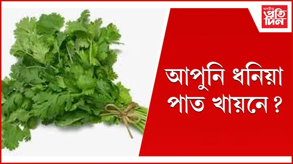 ধনিয়া  web seo