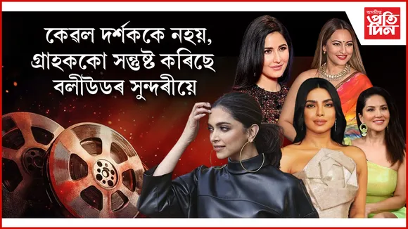 bollywood seo web