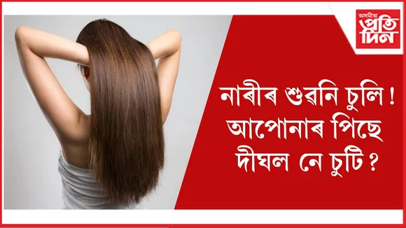 চুলি seo