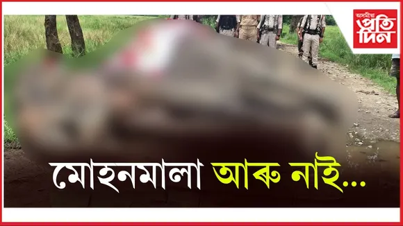 মোহনমালাৰ বিয়োগত কাজিৰঙাত শোক...