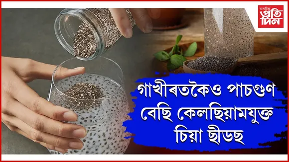 web ap sea seeds