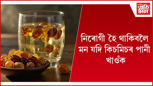 কিচমিচ web