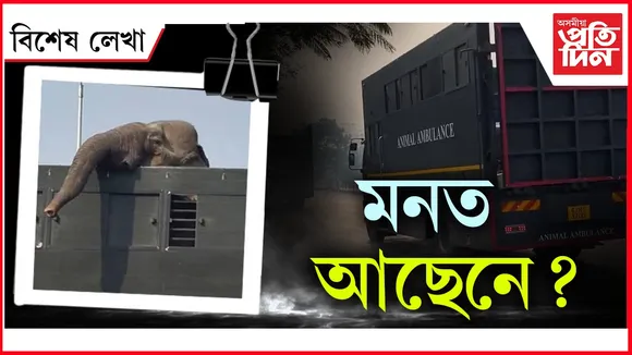 bikhekh lekha hdfhjftgj
