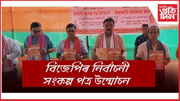WhatsApp Image 2025-09-12 at 12.58.07 PM