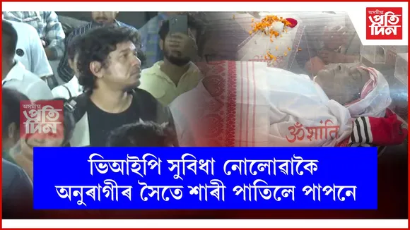 web ap papon