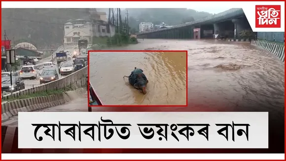 WhatsApp Image 2025-10-05 at 5.27.09 PM