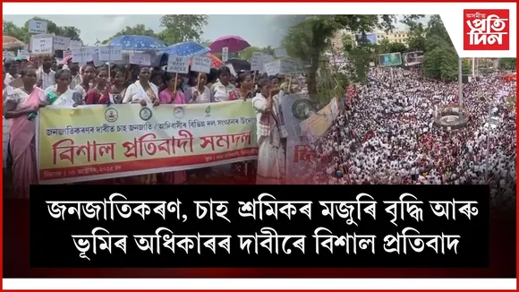 WhatsApp Image 2025-10-08 at 17.33.28