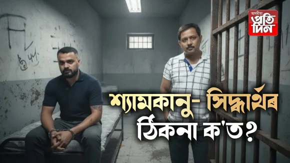 36f5b217-b761-4f8b-abf5-8b0035bbe500