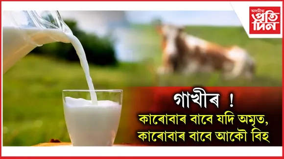 গাখীৰ !