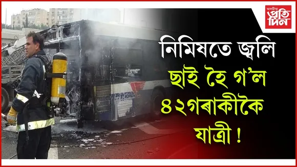 WhatsApp Image 2025-11-17 at 2.12.43 PM