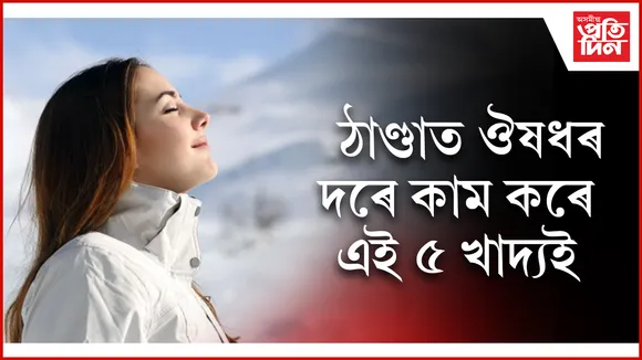 ৫ খাদ্য seooo