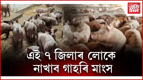 WhatsApp Image 2025-11-17 at 1.43.49 PM