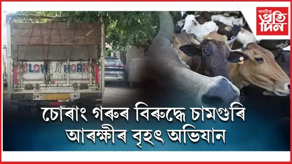 WhatsApp Image 2025-11-22 at 11.39.25 AM