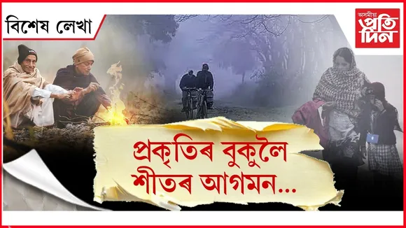 WhatsApp Image 2025-11-27 at 9.30.07 PM