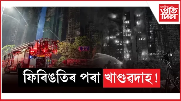 WhatsApp Image 2025-11-29 at 8.01.50 PM