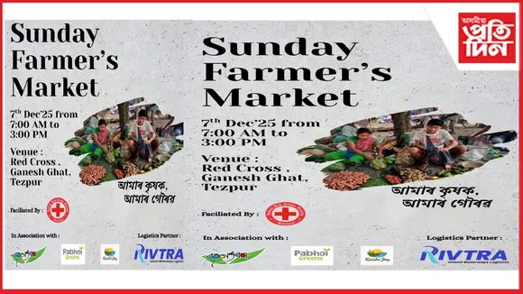 new ap web 11-11-24 new 2