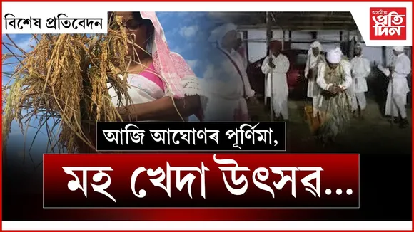 WhatsApp Image 2025-12-04 at 2.40.51 PM