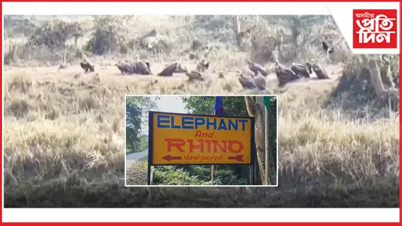 WhatsApp Image 2025-12-05 at 3.36.34 PM