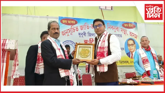 new ap web 11-11-24 new 2