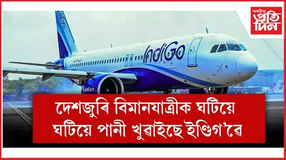 WhatsApp Image 2025-12-08 at 3.20.28 PM