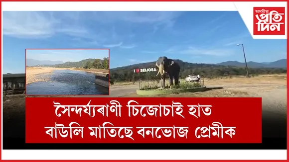 WhatsApp Image 2025-12-10 at 12.44.24 PM