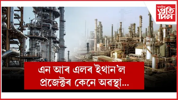 WhatsApp Image 2025-12-19 at 1.37.18 PM