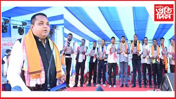 new ap web 11-11-24 new 2